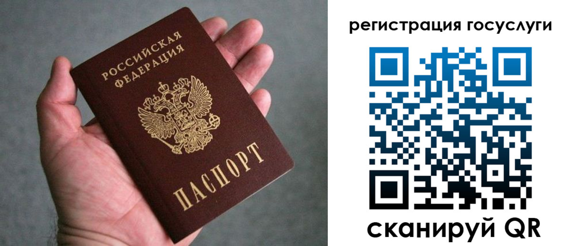 прописка поиск в Александровске-Сахалинском